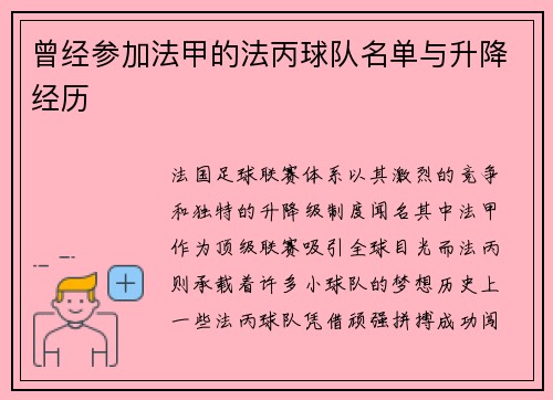 曾经参加法甲的法丙球队名单与升降经历